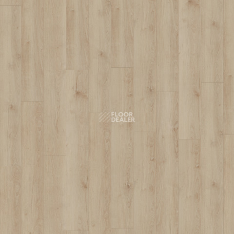Kronotex Exquisit 8мм d80922 Дуб Бельведер фото 3 | FLOORDEALER
